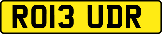 RO13UDR
