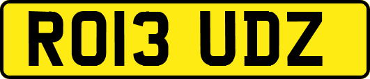 RO13UDZ