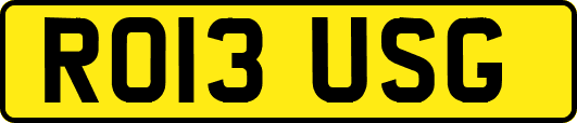 RO13USG