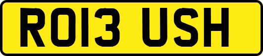 RO13USH
