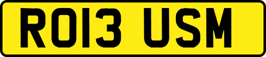 RO13USM