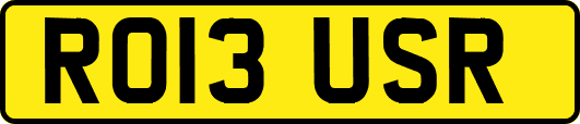 RO13USR