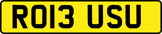 RO13USU