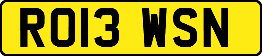 RO13WSN
