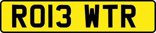 RO13WTR