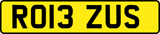 RO13ZUS