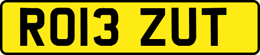 RO13ZUT