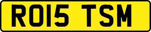 RO15TSM