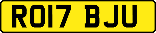 RO17BJU