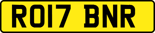 RO17BNR