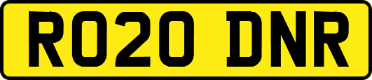 RO20DNR