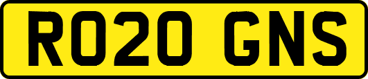 RO20GNS