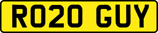 RO20GUY