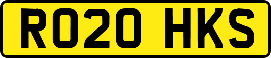 RO20HKS