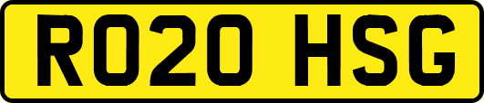 RO20HSG