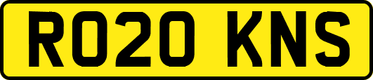 RO20KNS