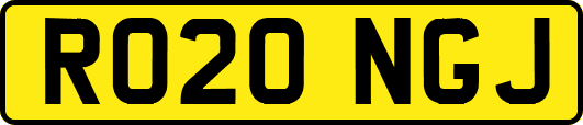 RO20NGJ