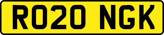RO20NGK