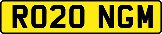 RO20NGM