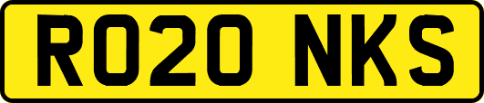 RO20NKS