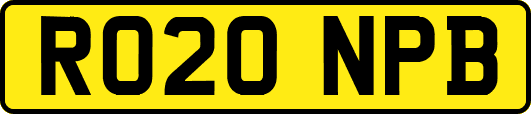 RO20NPB