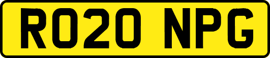 RO20NPG