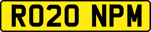 RO20NPM