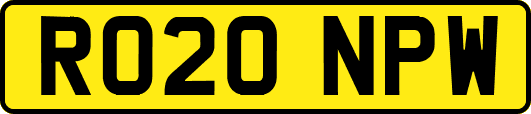 RO20NPW