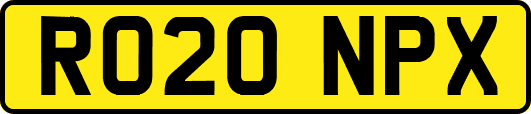 RO20NPX