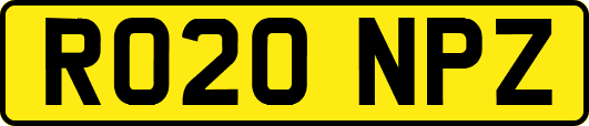 RO20NPZ