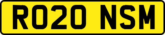 RO20NSM