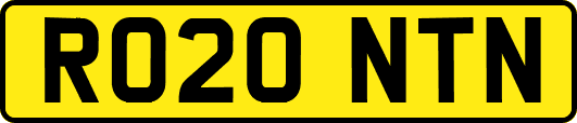 RO20NTN