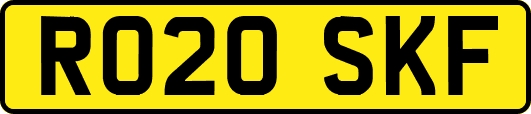 RO20SKF