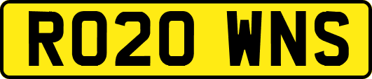 RO20WNS