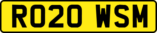 RO20WSM