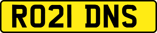 RO21DNS