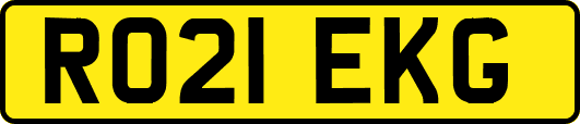RO21EKG