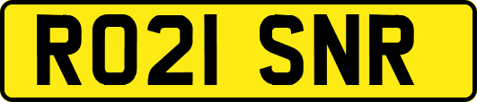 RO21SNR