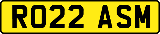 RO22ASM
