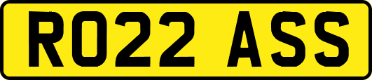 RO22ASS
