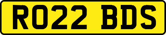 RO22BDS