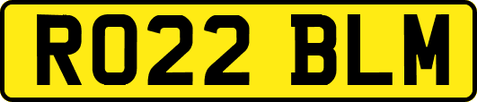 RO22BLM