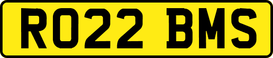RO22BMS