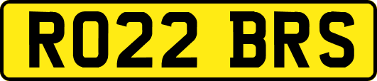 RO22BRS