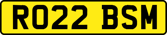 RO22BSM