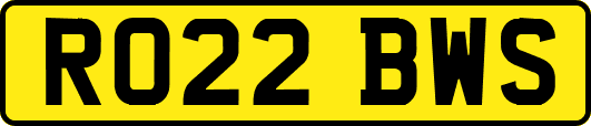 RO22BWS