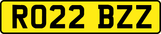 RO22BZZ