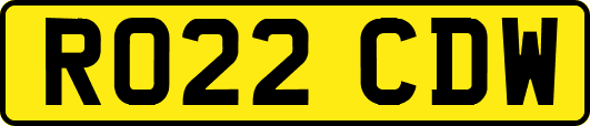 RO22CDW