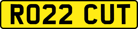RO22CUT