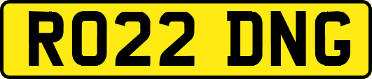 RO22DNG